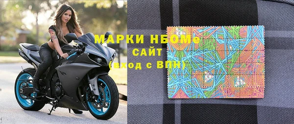 индика Абинск