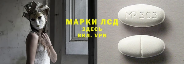 индика Абинск