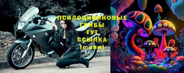 индика Абинск