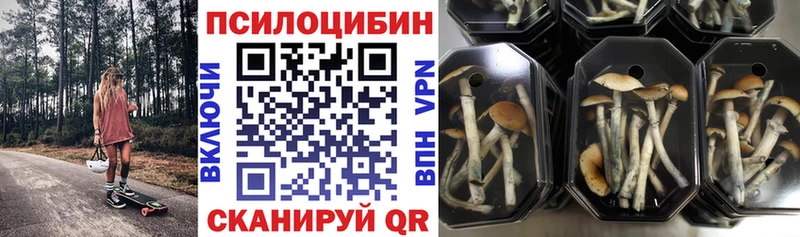 Псилоцибиновые грибы Psilocybe Красновишерск